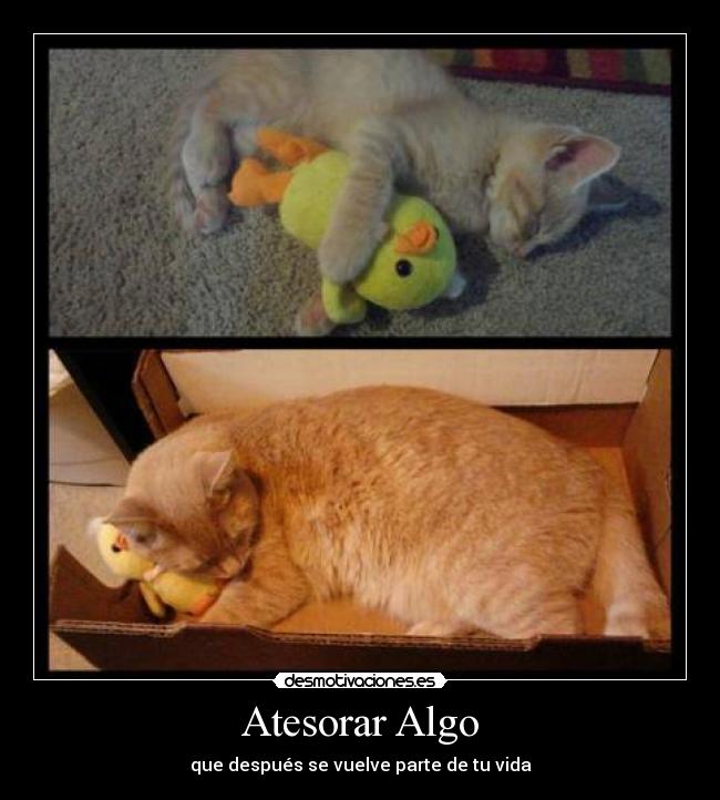 Atesorar Algo - que después se vuelve parte de tu vida