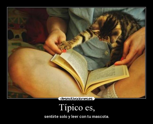 Típico es, - sentirte solo y leer con tu mascota.
