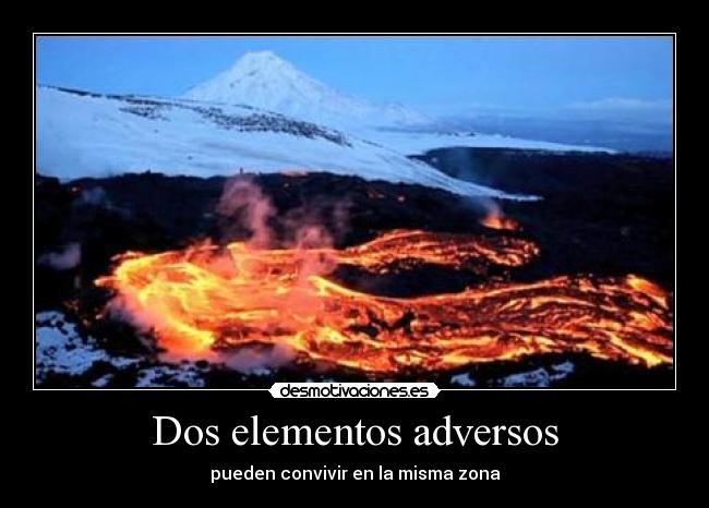 carteles  desmotivaciones