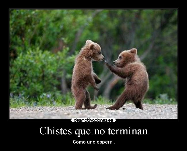 Chistes que no terminan - Como uno espera..