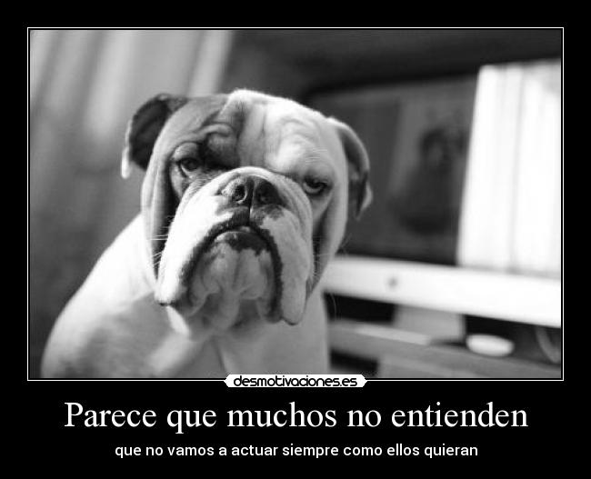 carteles actuar perros desmotivaciones