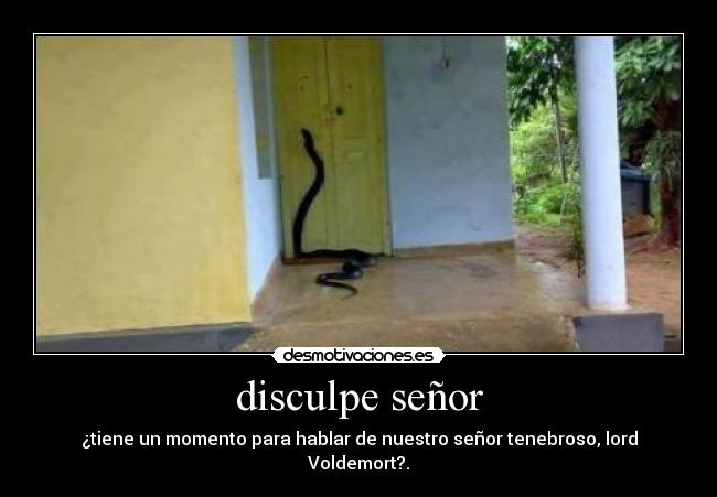 disculpe señor - 