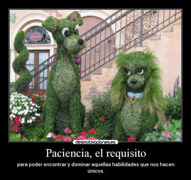 Paciencia, el requisito -