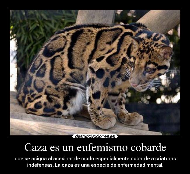 Caza es un eufemismo cobarde -