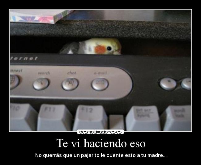 Te vi haciendo eso - No querrás que un pajarito le cuente esto a tu madre...