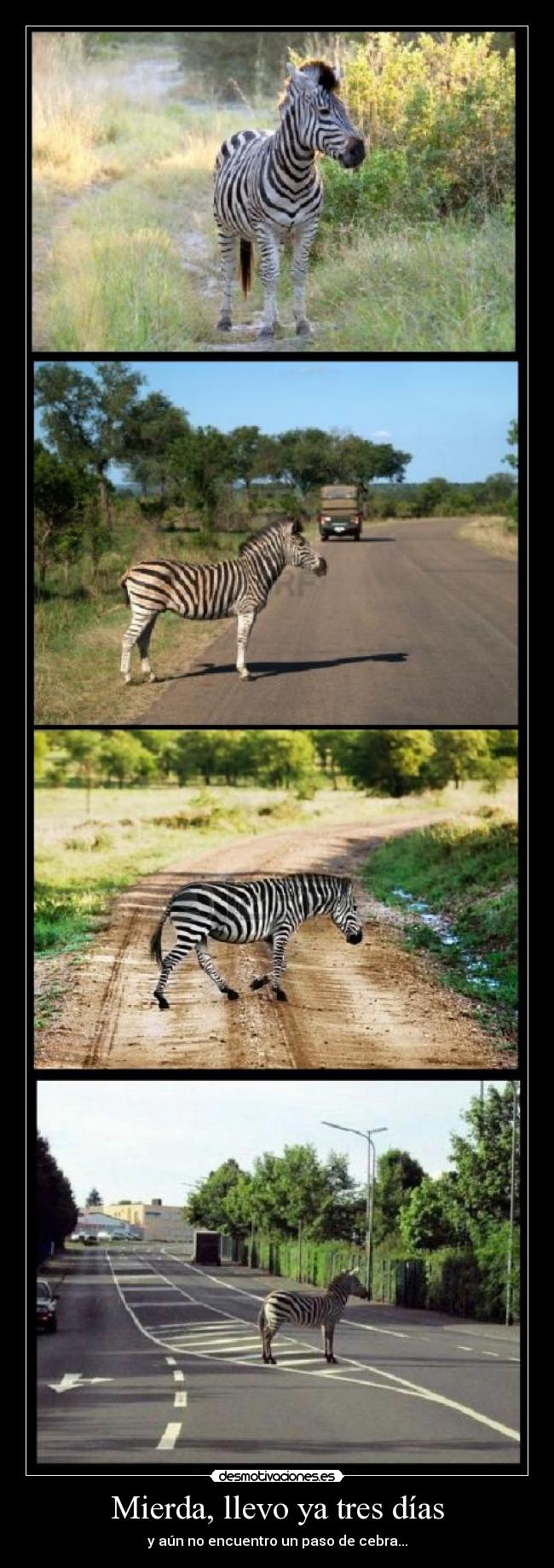 Mierda, llevo ya tres días -