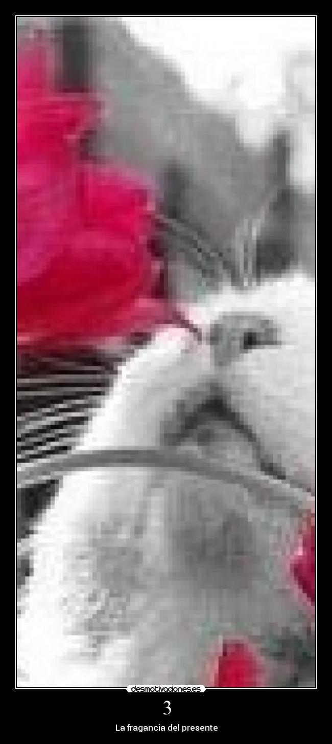 carteles fragancia del presente desmotivaciones