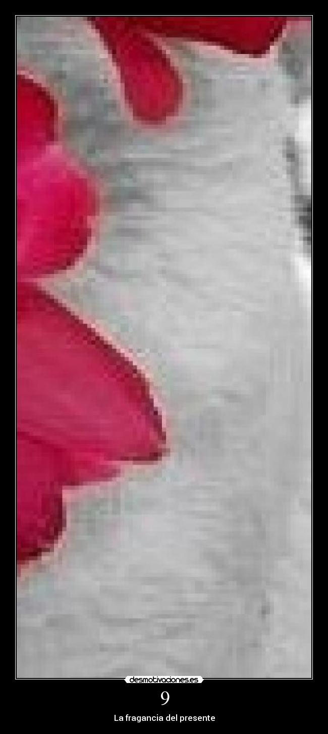 carteles fragancia del presente desmotivaciones