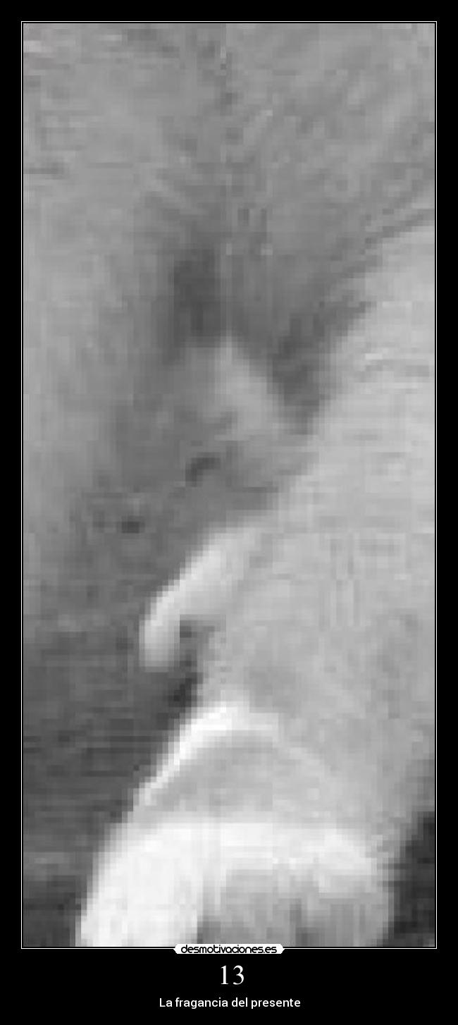 carteles fragancia del presente desmotivaciones