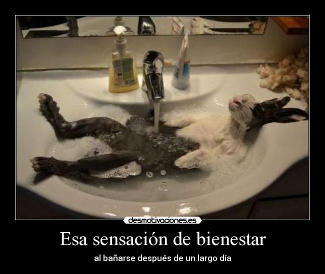 Esa sensación de bienestar - 