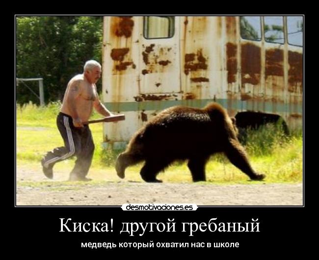 Киска! другой гребаный - медведь который охватил нас в школе