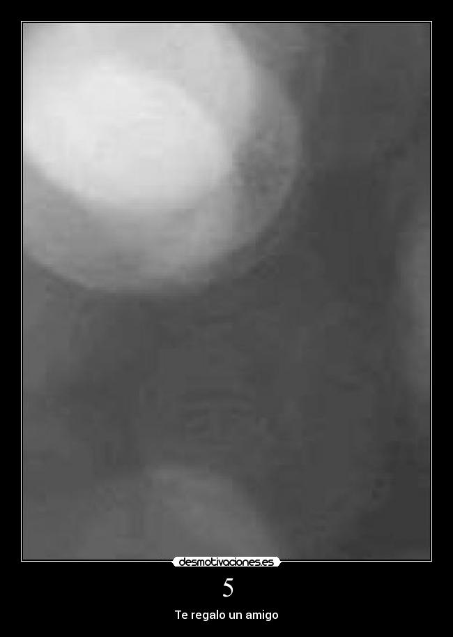 5 - Te regalo un amigo