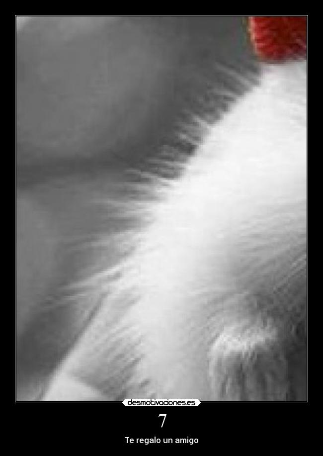 7 - Te regalo un amigo