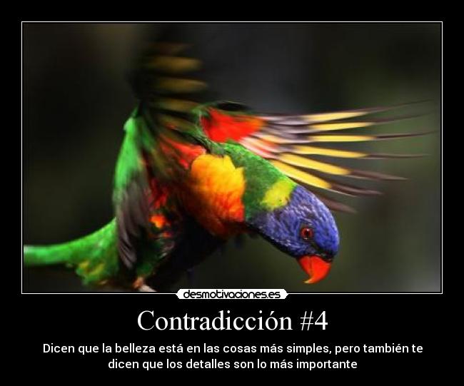 Contradicción #4 - Dicen que la belleza está en las cosas más simples, pero también te
dicen que los detalles son lo más importante