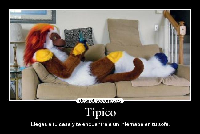 Típico - Llegas a tu casa y te encuentra a un Infernape en tu sofa.