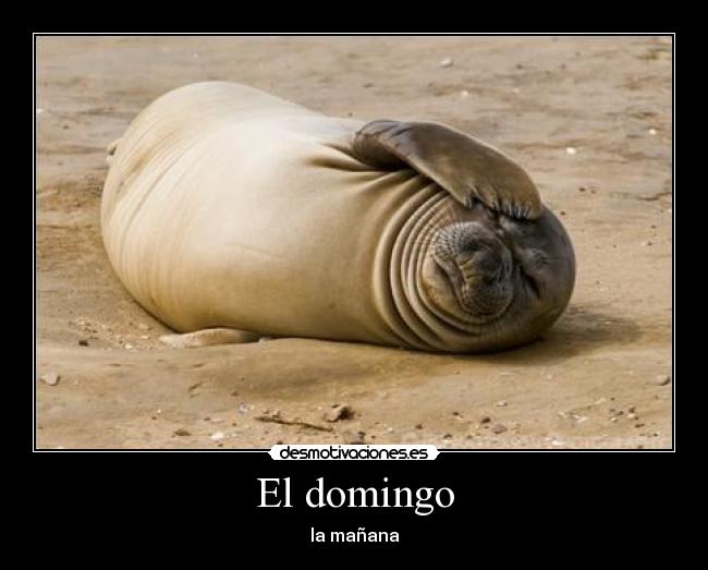 El domingo - la mañana