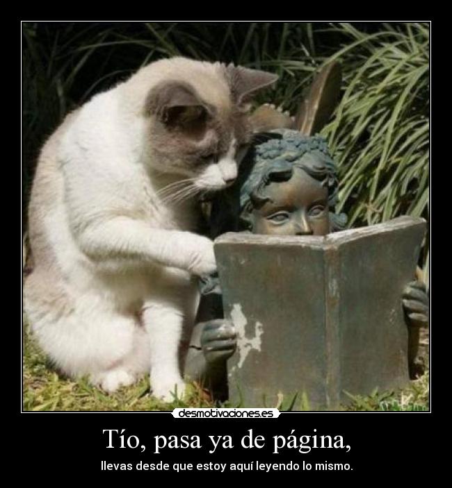 carteles psilocibina fuente 4chan org desmotivaciones