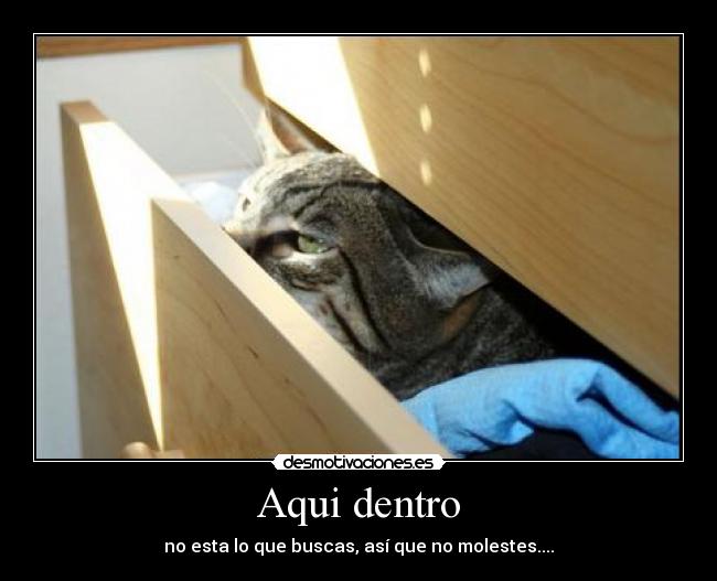 Aqui dentro - no esta lo que buscas, así que no molestes....