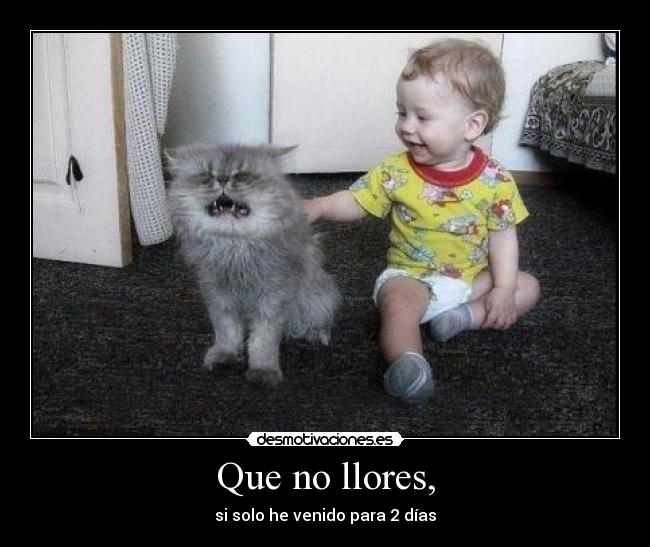 Que no llores, - 