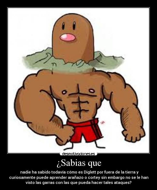 ¿Sabias que - nadie ha sabido todavía cómo es Diglett por fuera de la tierra y
curiosamente puede aprender arañazo o cortey sin embargo no se le han
visto las garras con las que pueda hacer tales ataques?