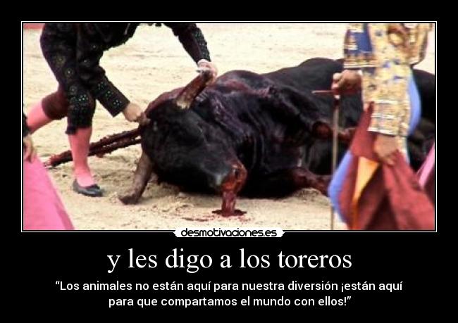 y les digo a los toreros - “Los animales no están aquí para nuestra diversión ¡están aquí
para que compartamos el mundo con ellos!”