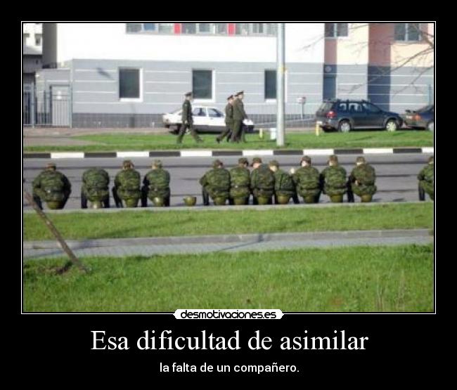 Esa dificultad de asimilar - 
