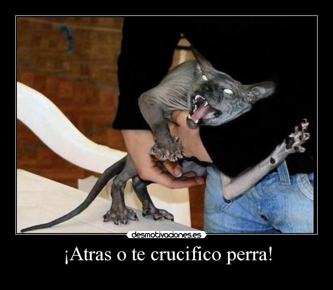 ¡Atras o te crucifico perra! - 