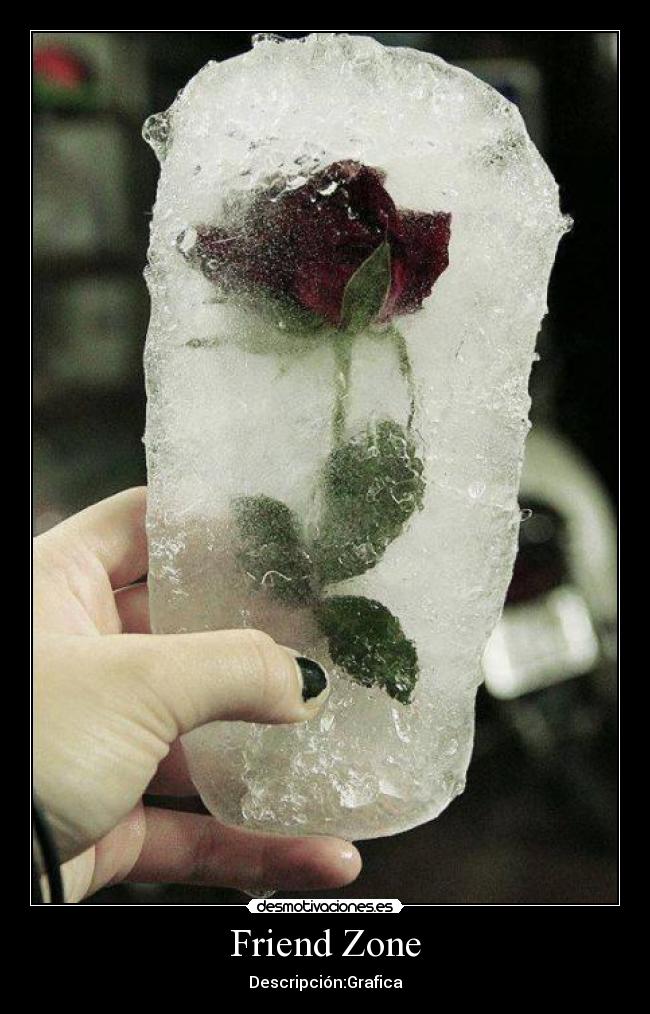 carteles rosas friendzone desmotivaciones