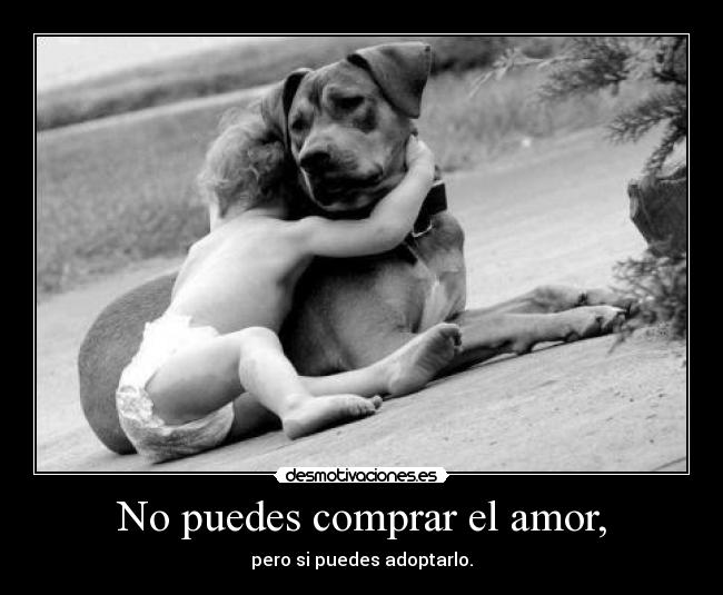 No puedes comprar el amor, -