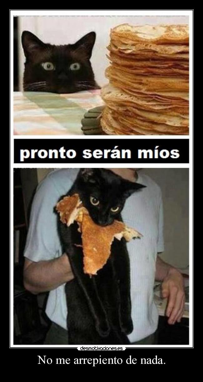 No me arrepiento de nada. -