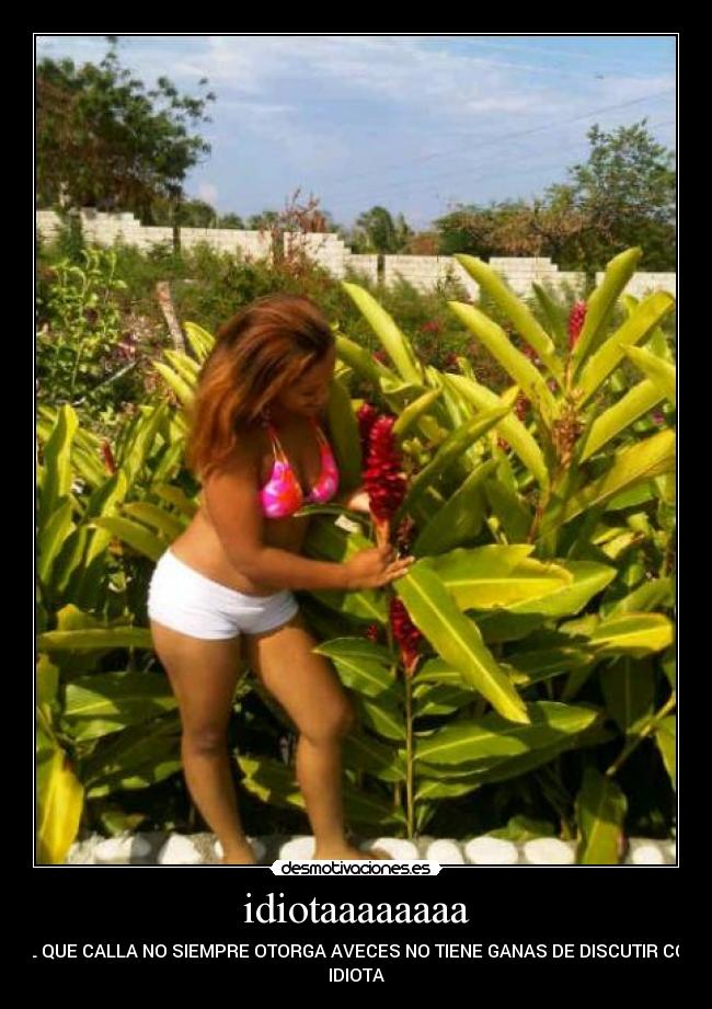 idiotaaaaaaaa - 