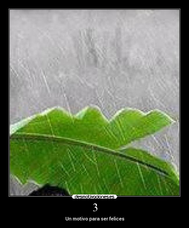 3 - Un motivo para ser felices