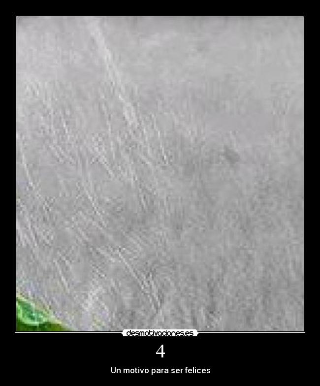 4 - Un motivo para ser felices
