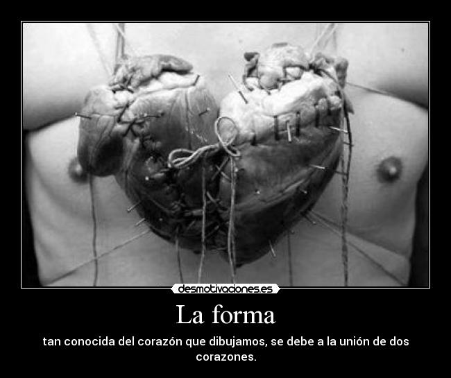 La forma -