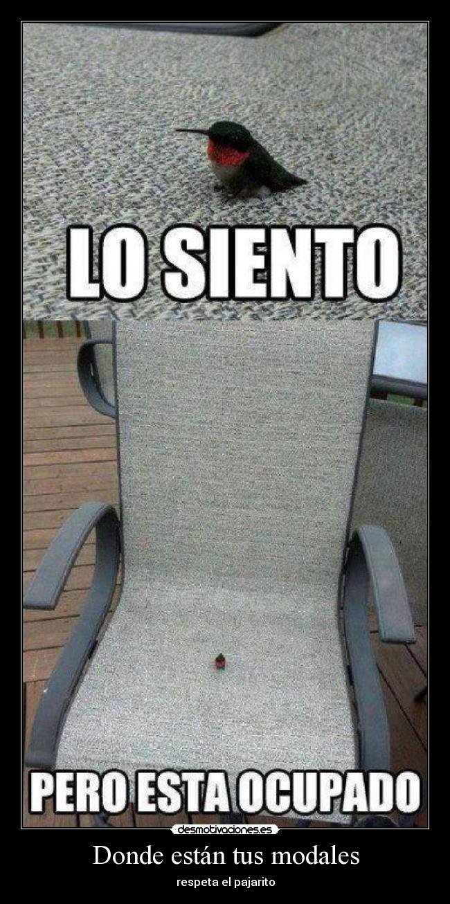 Donde están tus modales - respeta el pajarito