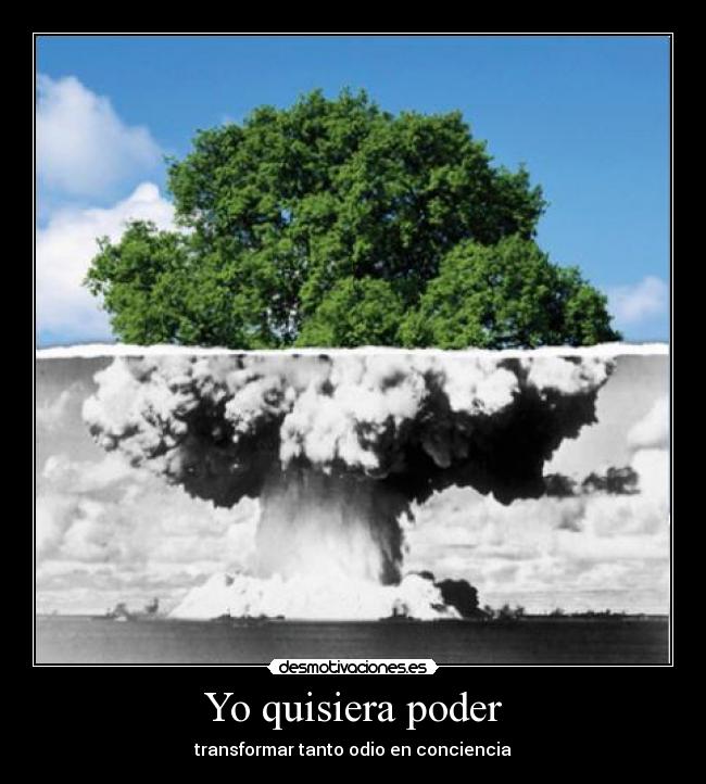 Yo quisiera poder - transformar tanto odio en conciencia