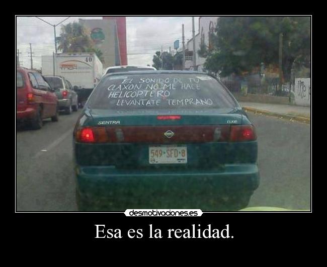 Esa es la realidad. - 