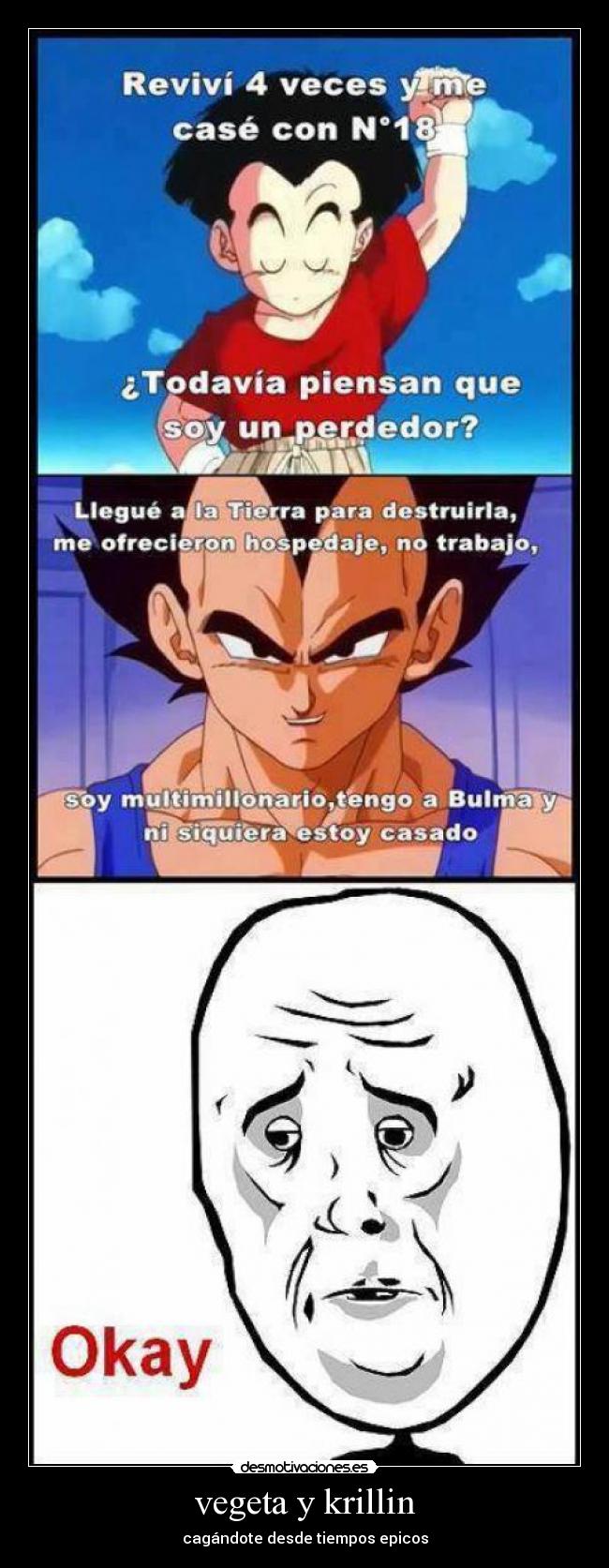 vegeta y krillin -