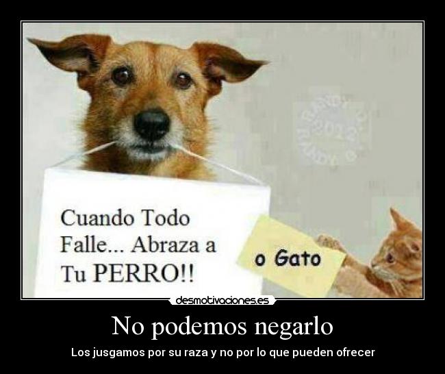 No podemos negarlo - 