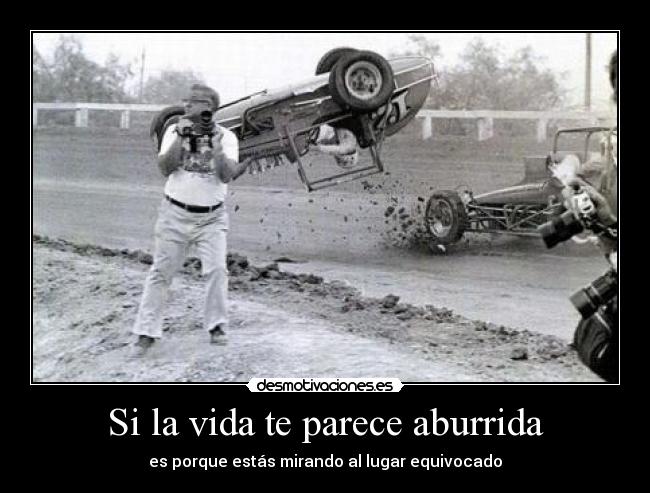 carteles vida diegoparty desmotivaciones