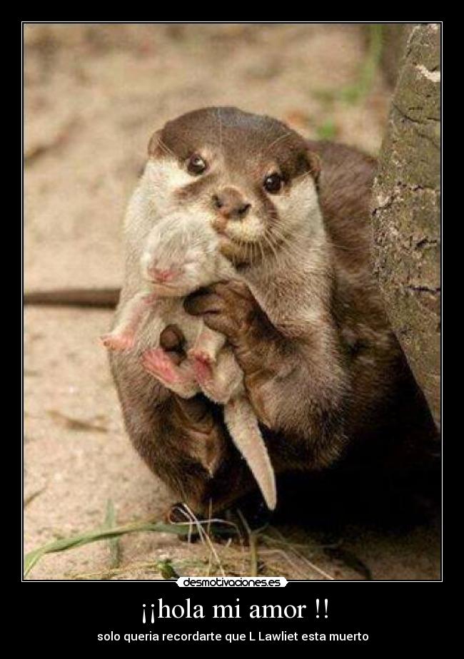 ¡¡hola mi amor !! -