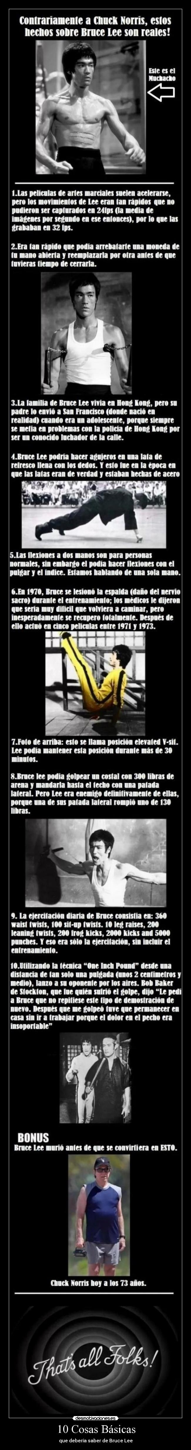 carteles cosas basicas que deberia saber bruce lee chuck norris desmotivaciones