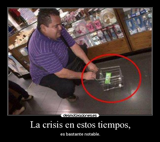 La crisis en estos tiempos, - 
