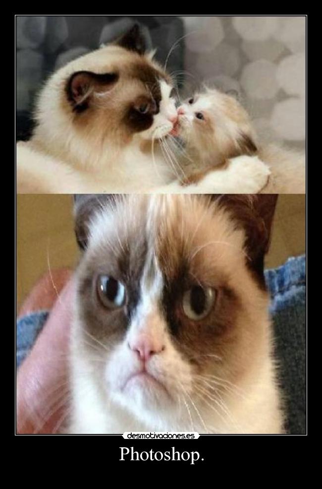 Photoshop. - 