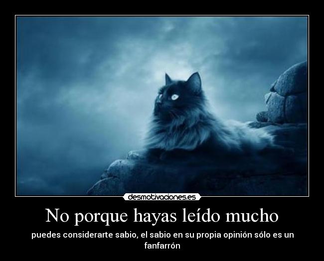 No porque hayas leído mucho - puedes considerarte sabio, el sabio en su propia opinión sólo es un fanfarrón
