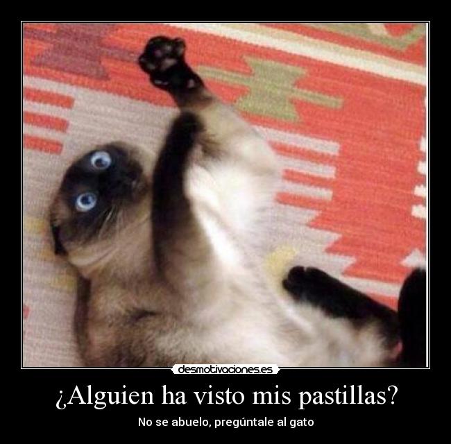 ¿Alguien ha visto mis pastillas? -