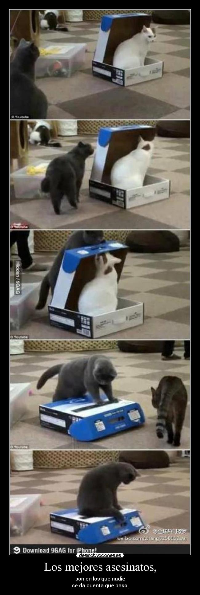 Los mejores asesinatos, -