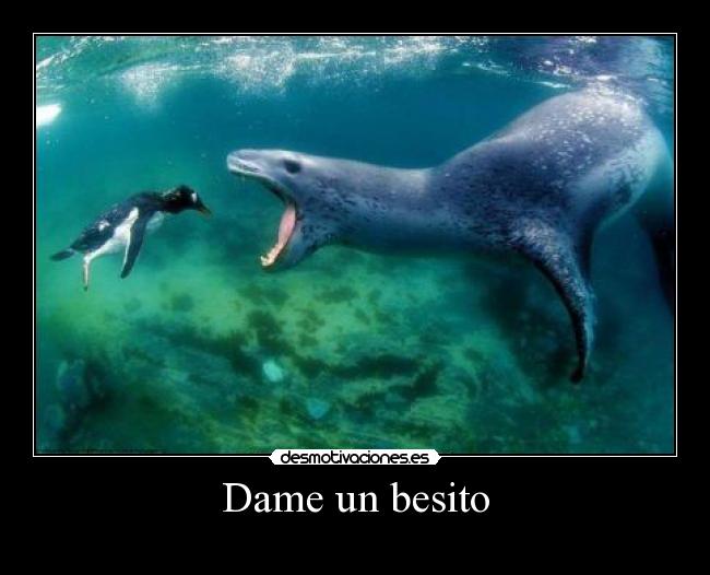 Dame un besito - 