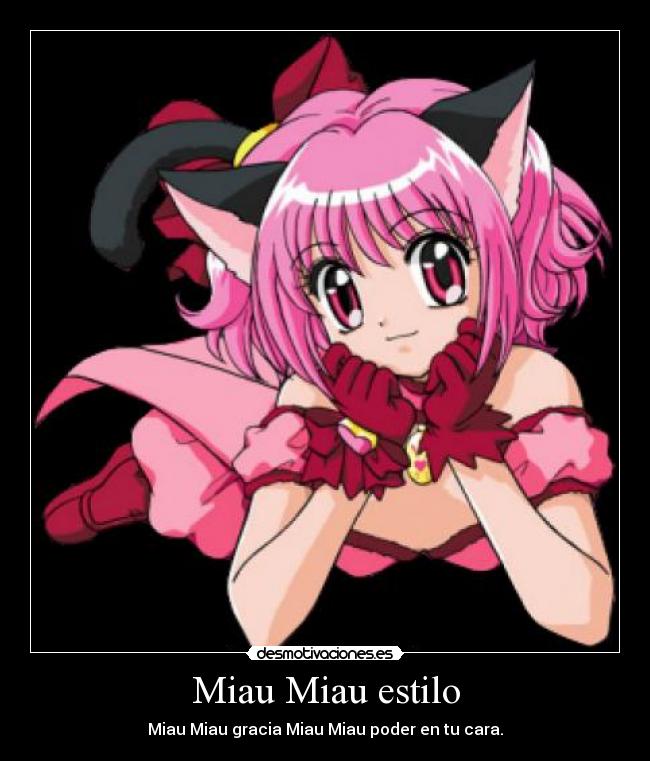 Miau Miau estilo -