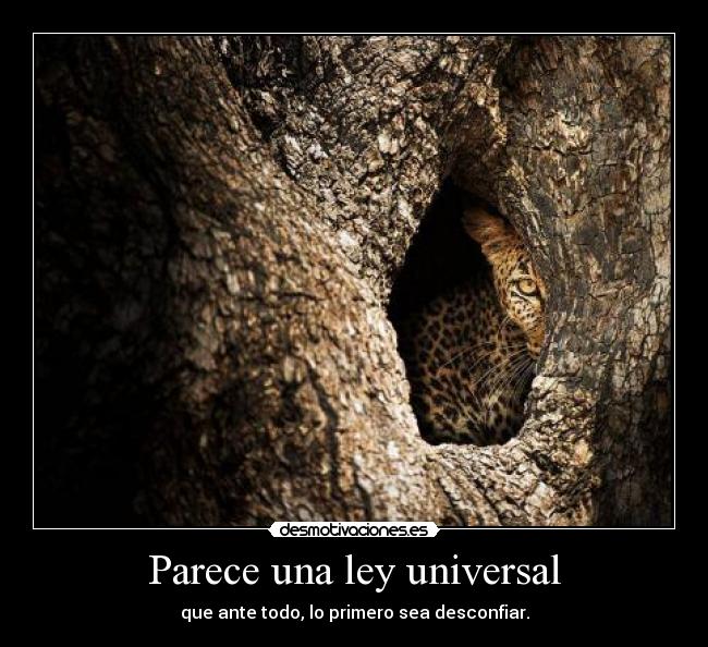 Parece una ley universal - 